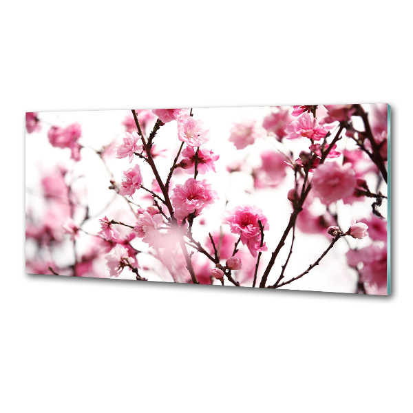 Cooker splashback Plum flower