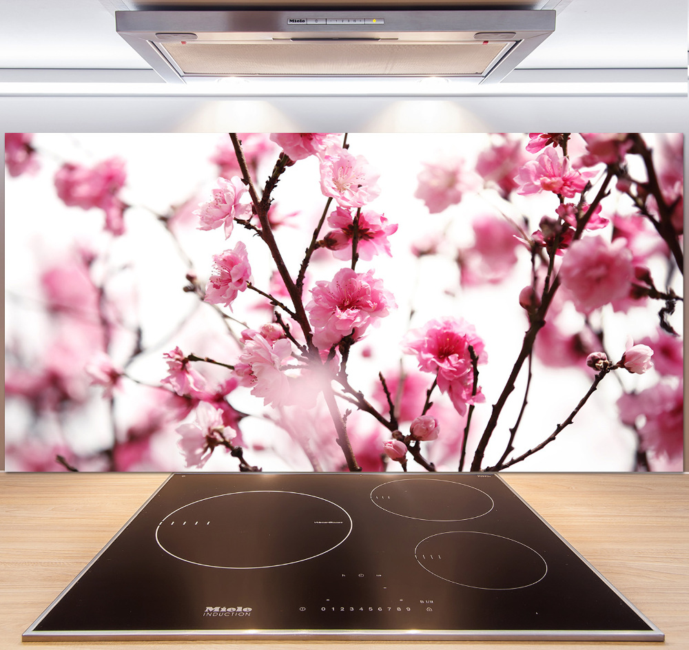 Cooker splashback Plum flower