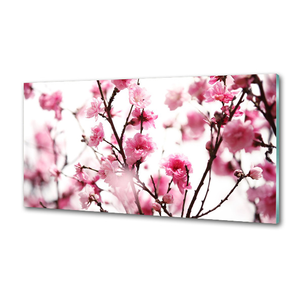 Cooker splashback Plum flower