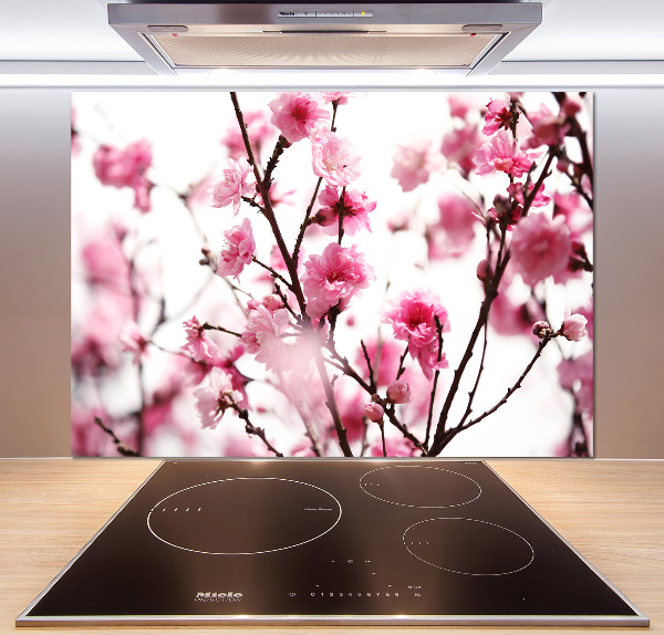 Cooker splashback Plum flower