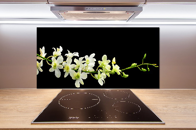 Cooker splashback Orchid