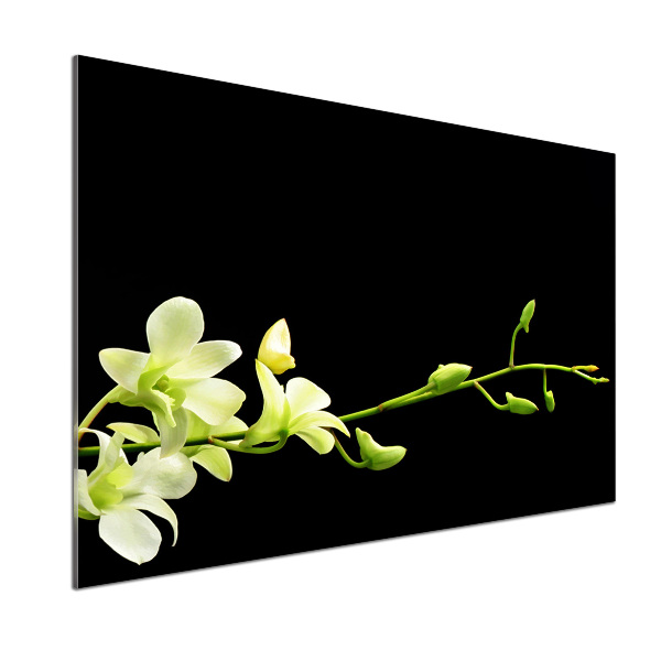 Cooker splashback Orchid