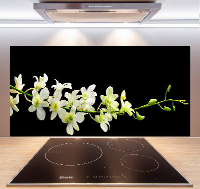 Cooker splashback Orchid