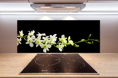 Cooker splashback Orchid