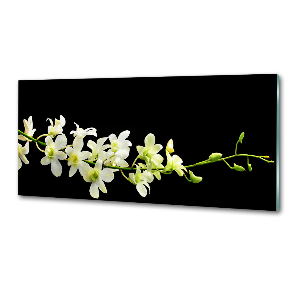 Cooker splashback Orchid