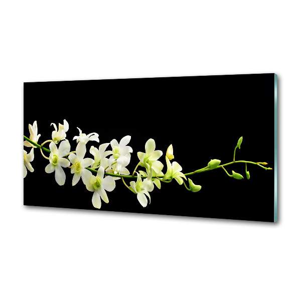 Cooker splashback Orchid