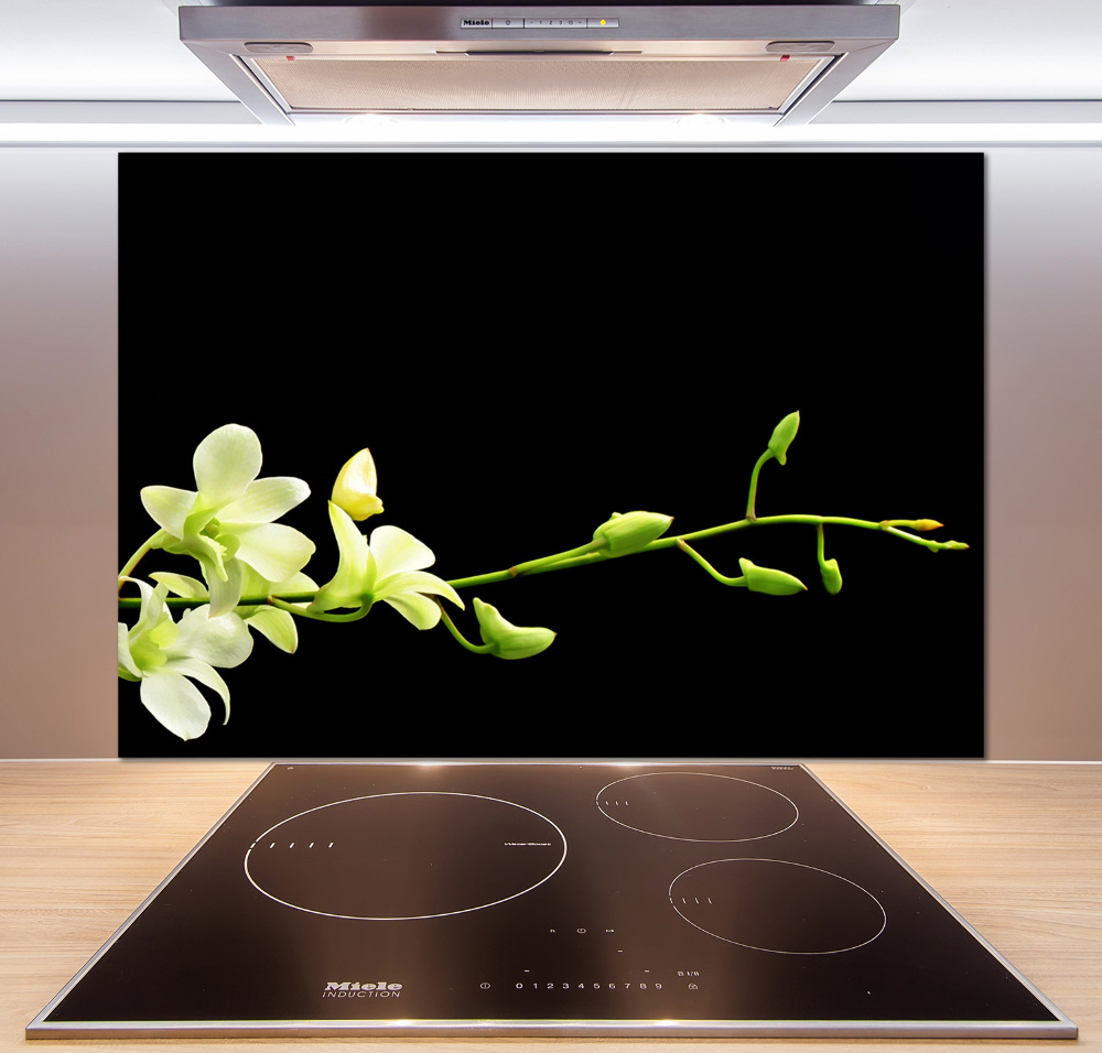 Cooker splashback Orchid