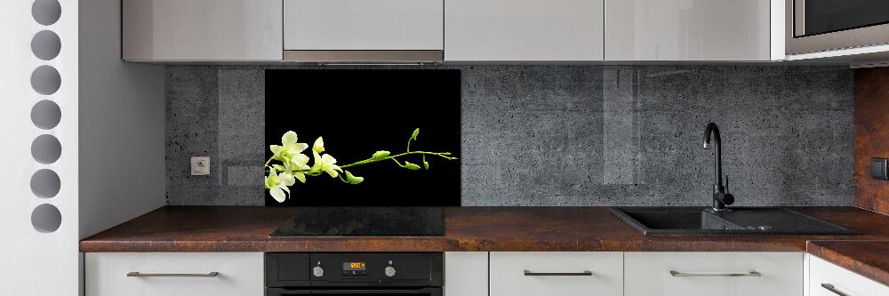 Cooker splashback Orchid