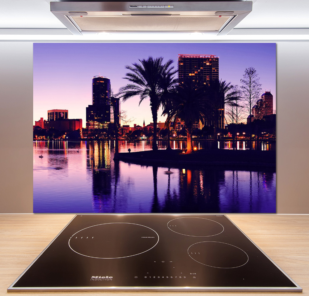 Cooker splashback Orlando USA