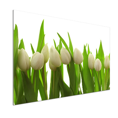 Kitchen splashback White tulips