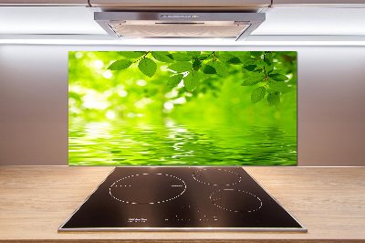 Kitchen splashback Green leaves