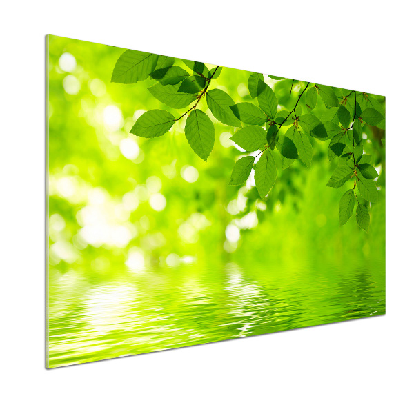 Kitchen splashback Green leaves