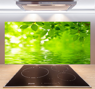 Kitchen splashback Green leaves