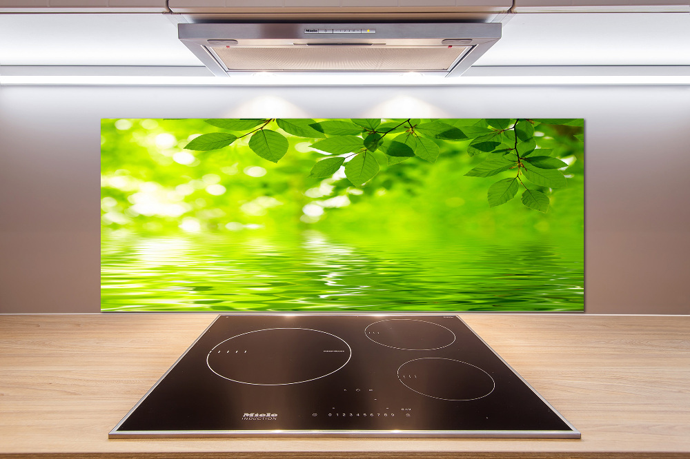 Kitchen splashback Green leaves