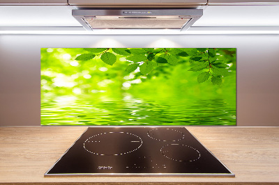 Kitchen splashback Green leaves