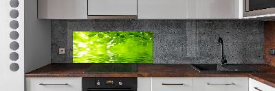 Kitchen splashback Green leaves