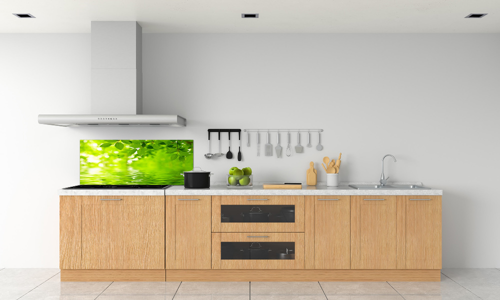 Kitchen splashback Green leaves