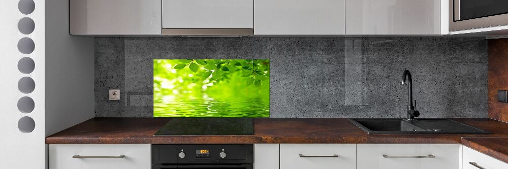 Kitchen splashback Green leaves