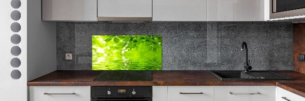 Kitchen splashback Green leaves