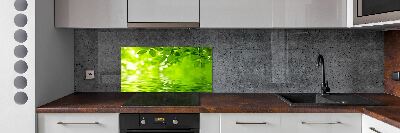 Kitchen splashback Green leaves