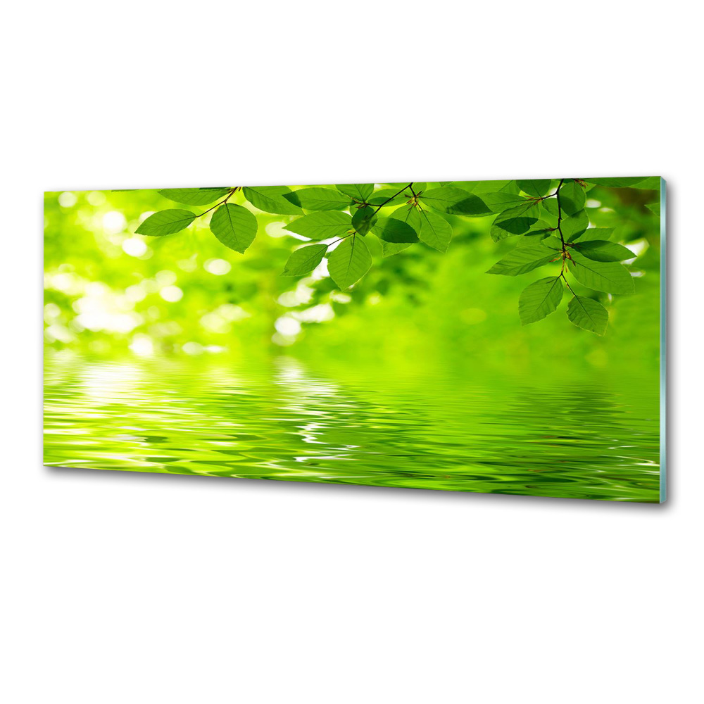 Kitchen splashback Green leaves