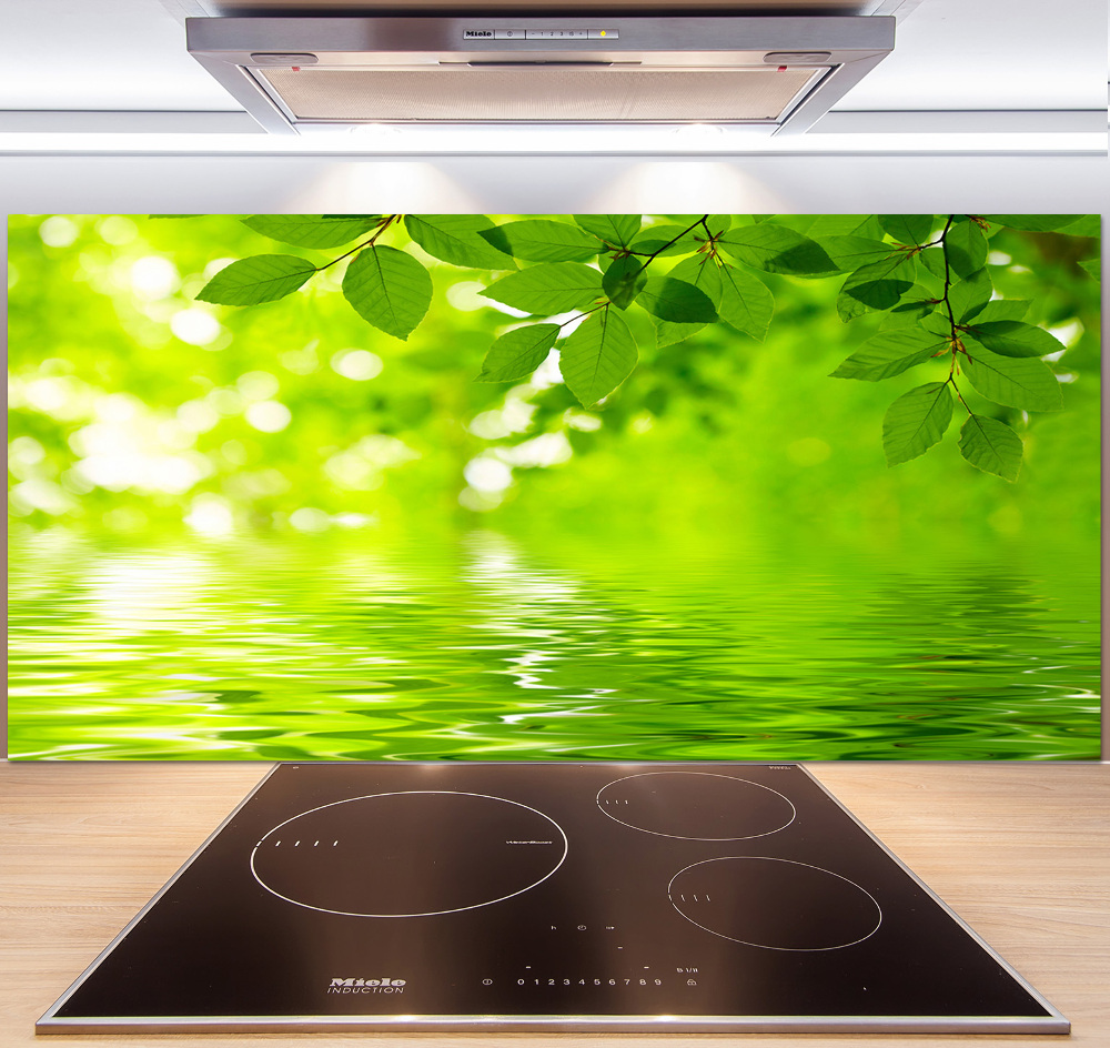 Kitchen splashback Green leaves