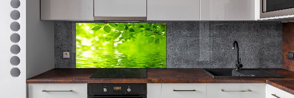 Kitchen splashback Green leaves