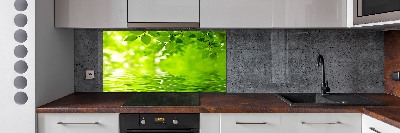 Kitchen splashback Green leaves