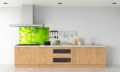 Kitchen splashback Green leaves