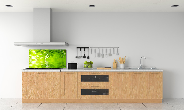 Kitchen splashback Green leaves