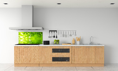 Kitchen splashback Green leaves