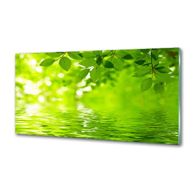 Kitchen splashback Green leaves