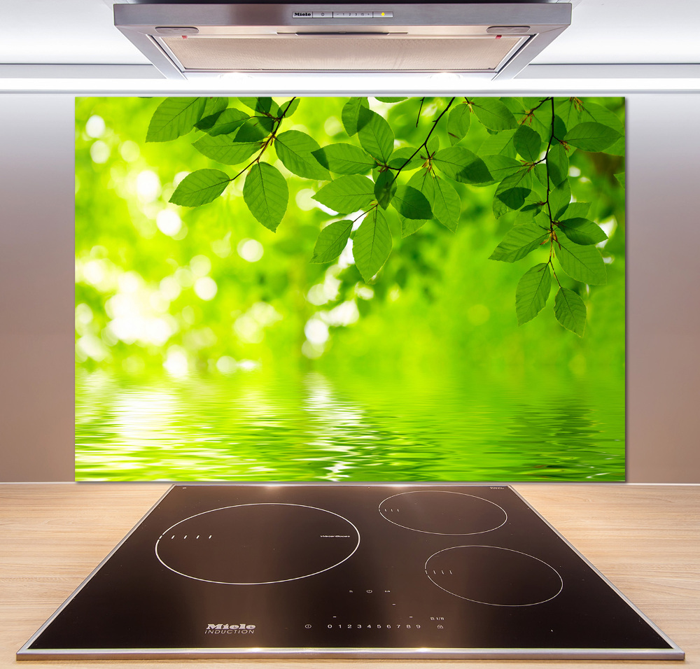 Kitchen splashback Green leaves