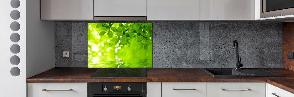 Kitchen splashback Green leaves