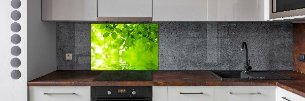 Kitchen splashback Green leaves