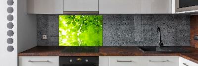 Kitchen splashback Green leaves