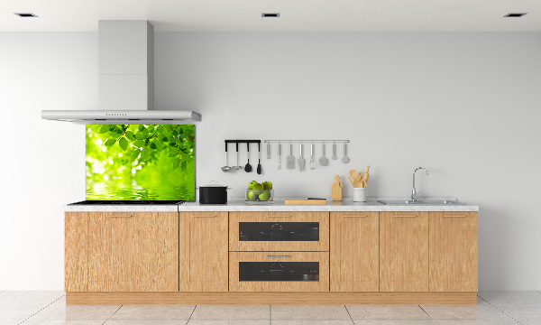 Kitchen splashback Green leaves