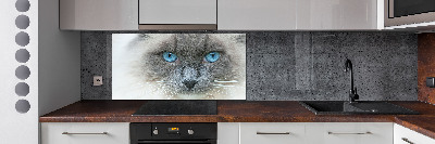 Cooker splashback Cat blue eyes