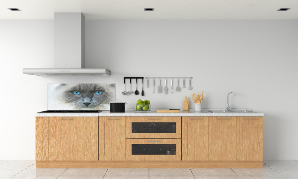 Cooker splashback Cat blue eyes