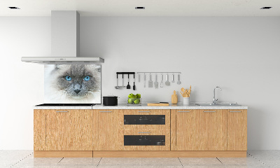 Cooker splashback Cat blue eyes