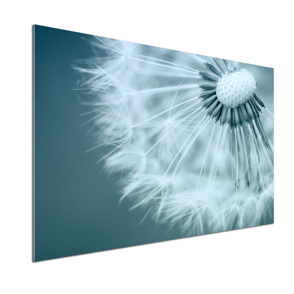 Kitchen splashback Dandelion