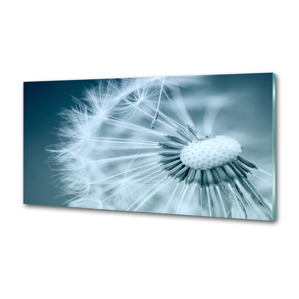 Kitchen splashback Dandelion