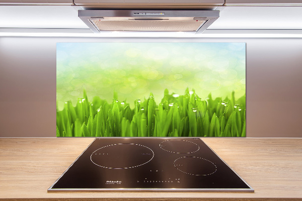 Kitchen splashback Grass