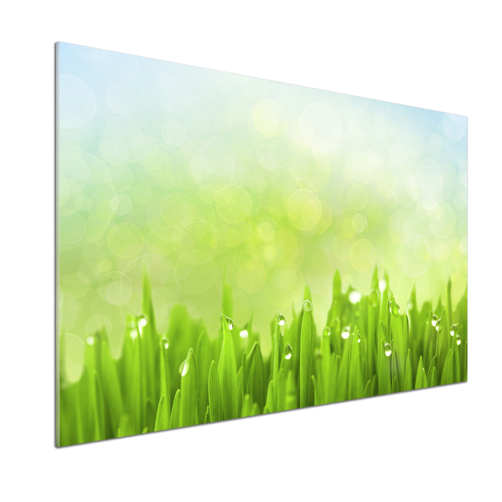 Kitchen splashback Grass