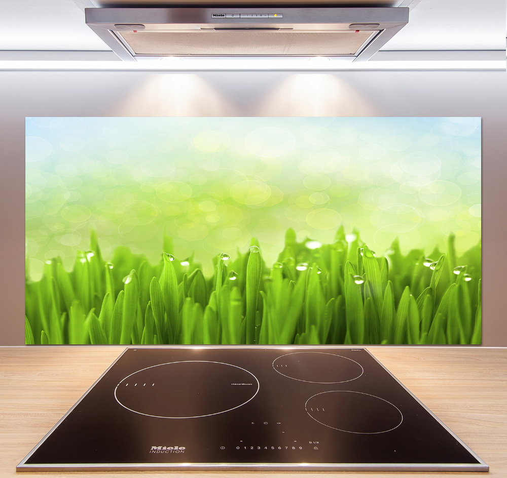 Kitchen splashback Grass