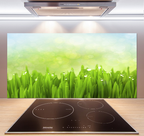 Kitchen splashback Grass