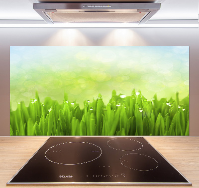 Kitchen splashback Grass