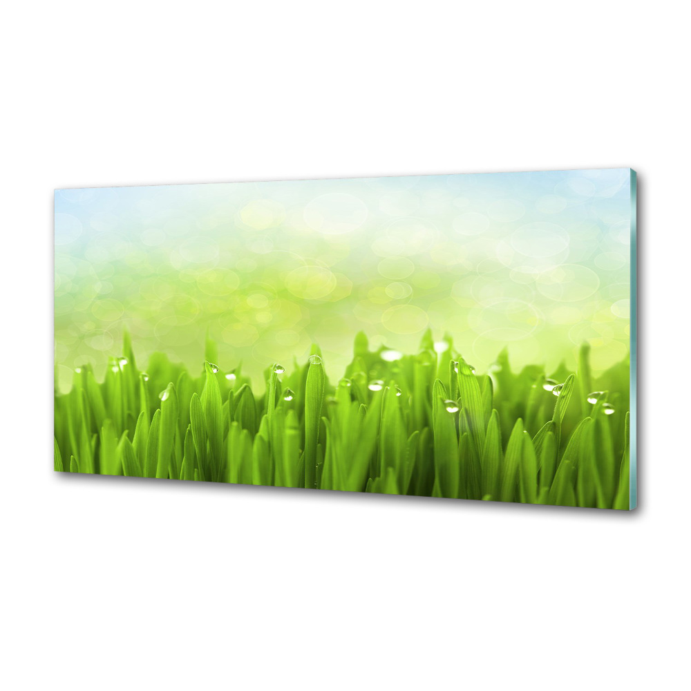 Kitchen splashback Grass