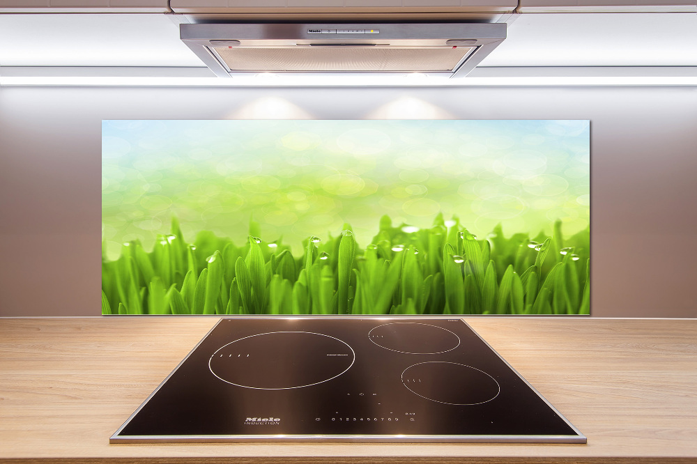 Kitchen splashback Grass