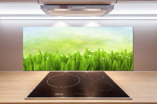 Kitchen splashback Grass